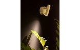 3W LED Sieninis šviestuvas CLIP Brass 9030203