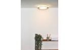 12W LED Lubinis šviestuvas DIMY Light wood Ø28.6 IP21 Dimeriuojamas 79179/12/72