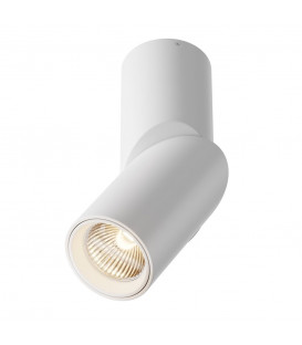 10W LED Lubinis šviestuvas DAFNE White 3000K C027CL-L10W